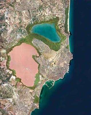Torrevieja