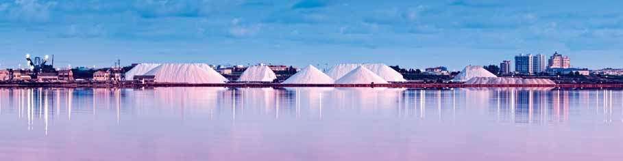 Salinas de Torrevieja